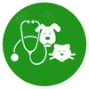 Zylkene - Ein Tierarztbesuch ist für Hunde und Katzen oft eine Stresssituation