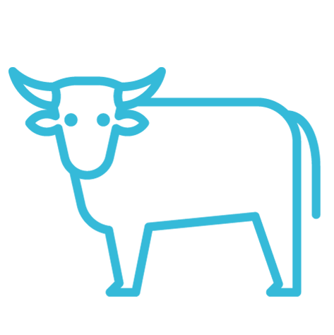 Hellblaues Icon einer Kuh