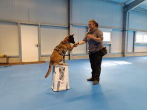 Hundetrainerin Manuela Habermann trainiert mit Hund