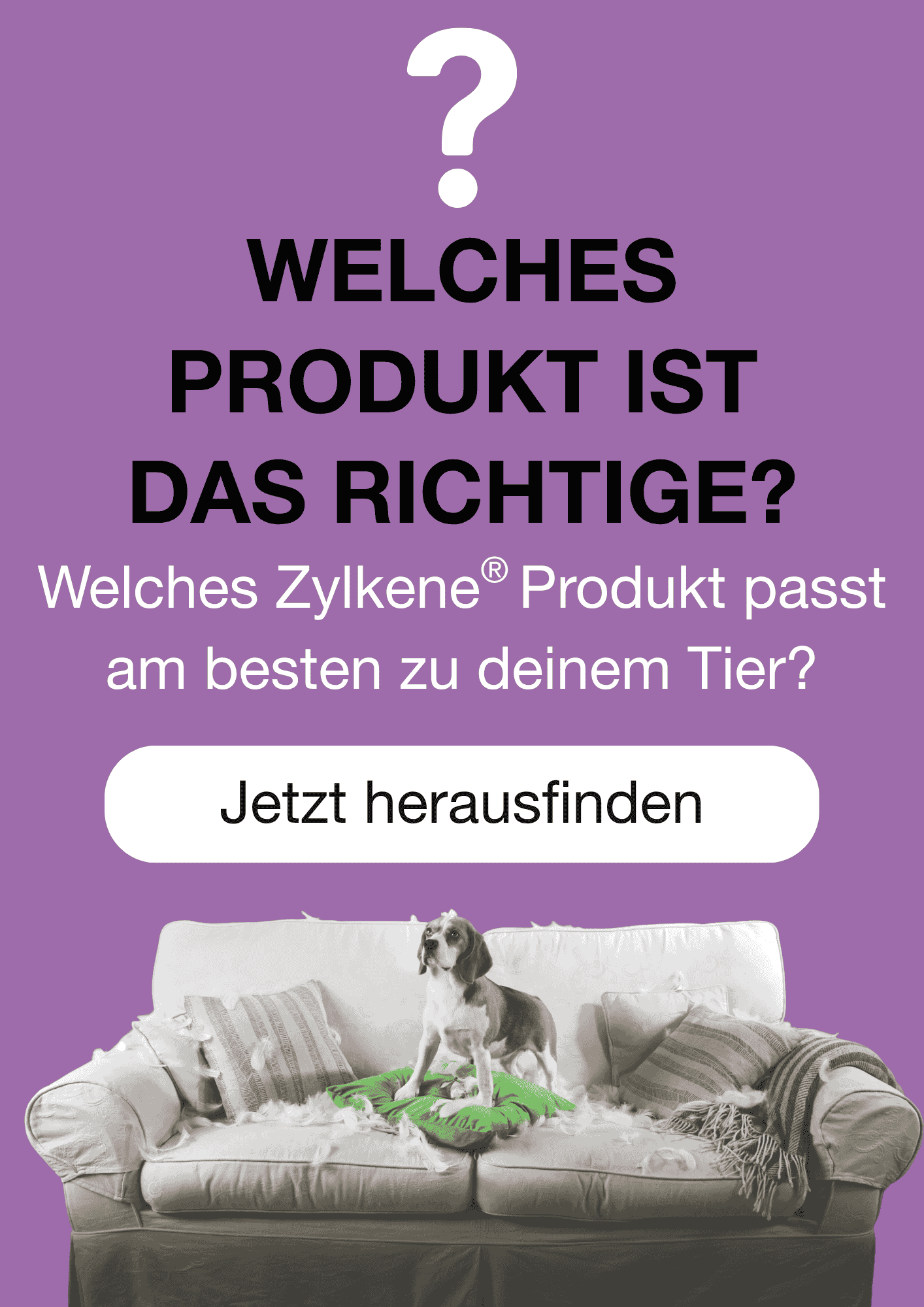 Pop-up: Welches Zylkene Produkt passt am besten zu Ihrem Tier?