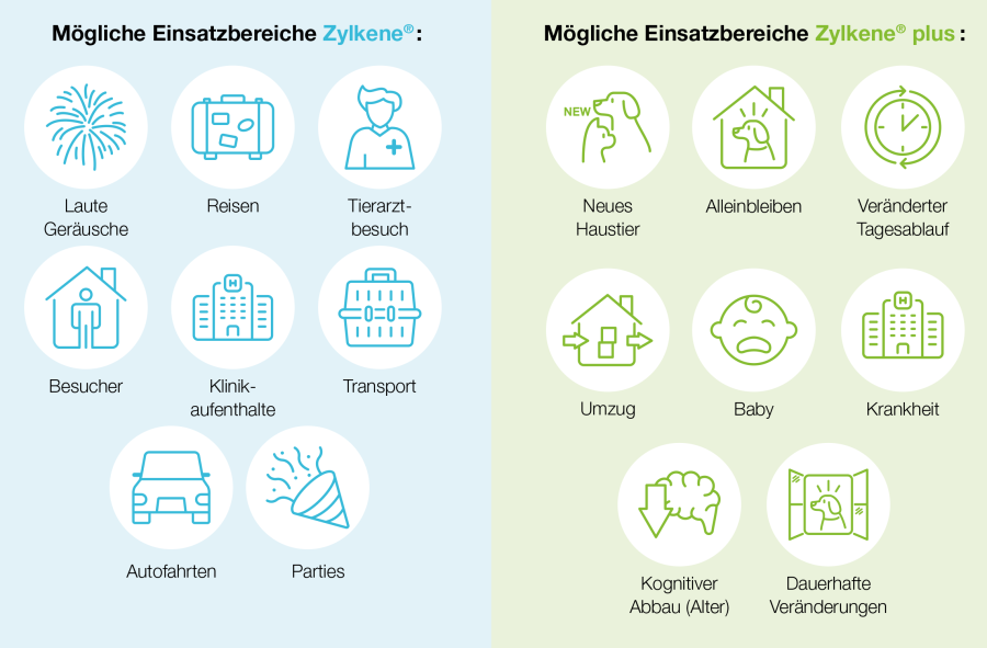 Einsatzgebiete Zylkene